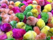 Фотография Парамоновой Ирины