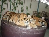 Фотография Дороховой Нины