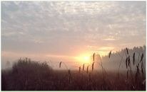 Фотография Karpova Giuzel