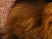 Міша Мaртинюк фотография #22 (источник - https://vk.com/id137020187)