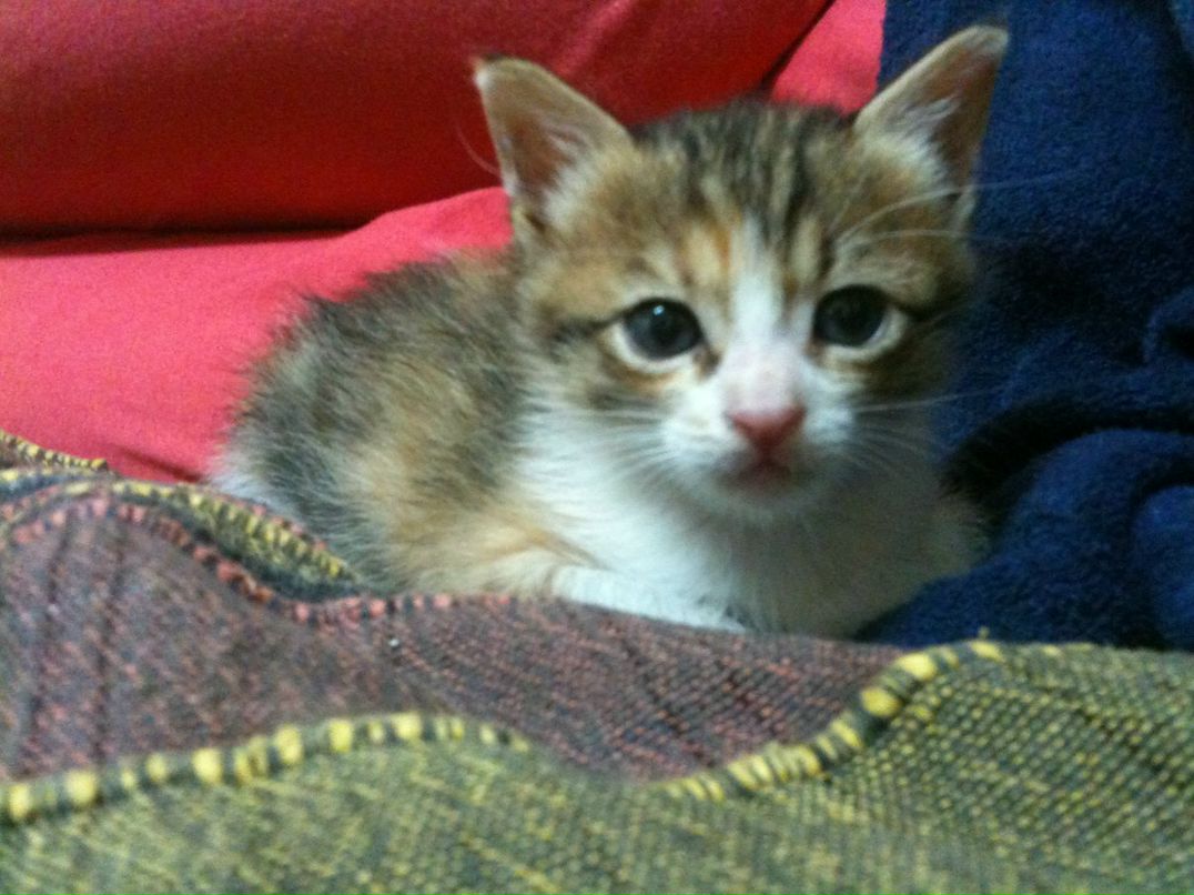 Дима Хрусталёв фотография #3