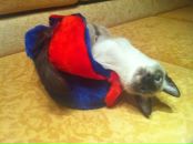 Фотография Жовнера Игоря