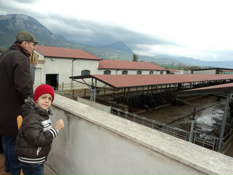  фото №47