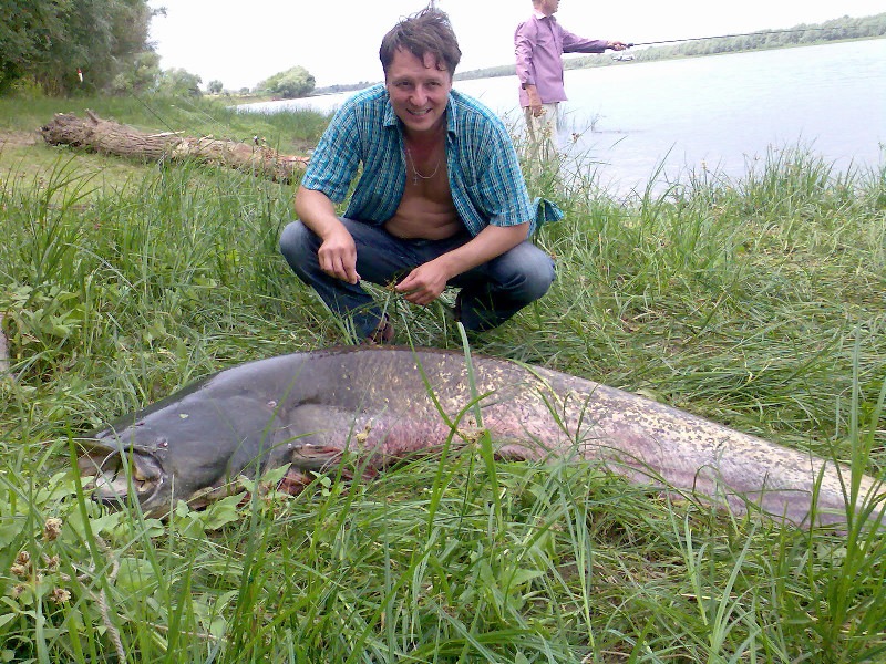 Сергей Тараскин фотография #48