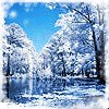 Едік Нетребко фотография #5 (источник - https://vk.com/id140488731)