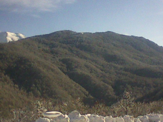 Сергей Охапкин фотография #3