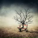 Фотография Жохова Николая