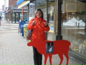 Елена Эксузьян фотография #16 (источник - https://vk.com/id198223)