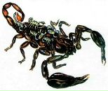 Мішка Януш фотография #34 (источник - https://vk.com/id12612390)