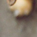 Viki @@@@@@@@@ фотография #13 (источник - https://vk.com/id141663195)