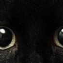 Viki @@@@@@@@@ фотография #30 (источник - https://vk.com/id141663195)