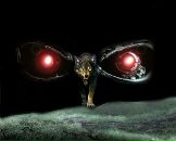 Ігор Маньковський фотография #17 (источник - https://vk.com/id97660374)