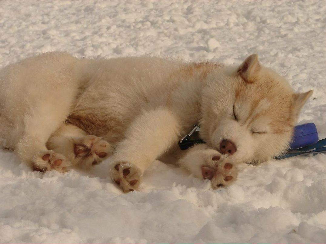 Дмитрий Тепляков фотография #18