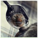 Фотография Казак Полины