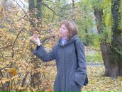 Фотография Сарамуд Ирины