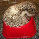 Фотография Кузив Екатерины