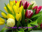 Надія Шпадик фотография #17 (источник - https://vk.com/id155860205)