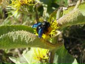 Фотография Фадеева Кирилла