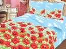 Любовь Κарасева фотография #48 (источник - https://vk.com/id152240570)