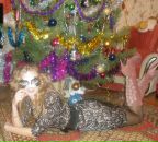 Фотография Такташёвой Натальи