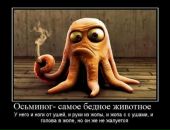 Фотография Пантелеева Алсу