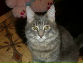 Фотография Соловьевой Юлии