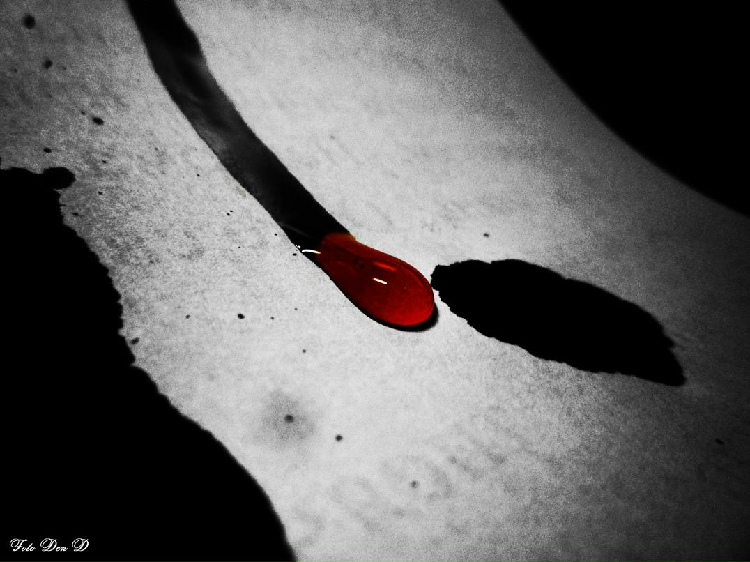 Den D фотография #45