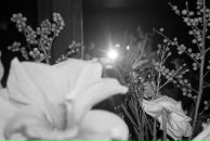 Alisa Chikipa фотография #32 (источник - https://vk.com/id5328290)