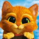 Віталік Швець фотография #8 (источник - https://vk.com/id151121870)