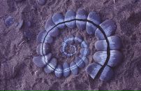 Оля Алємасова фотография #20 (источник - https://vk.com/id11173147)