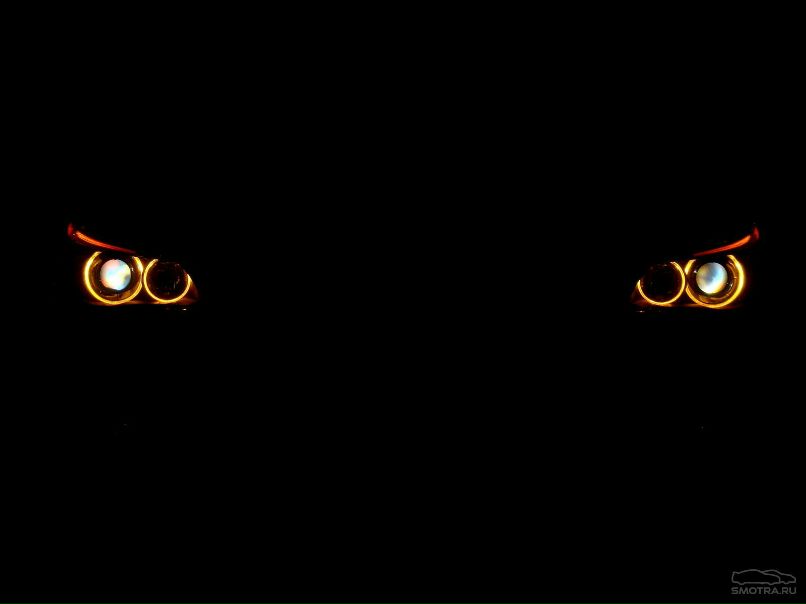 Михаил Дмитриев фотография #6