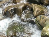 Андрій Кравець фотография #5 (источник - https://vk.com/id35295133)