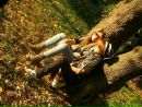 Faik Fun_th фотография #1
