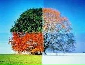 Иван Пожога фотография #17 (источник - https://vk.com/id83871113)