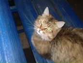 Фотография Разведкина Александра