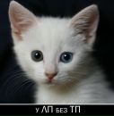 Фотография Пучкова Евгения