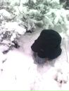 Максім Василець фотография #16 (источник - https://vk.com/id132318424)