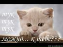 Світлана Семенків фотография #31 (источник - https://vk.com/id131543823)