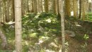 Александр Симаков фотография #33 (источник - https://vk.com/id2999567)