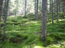 Віра Фарина фотография #50 (источник - https://vk.com/id16046460)