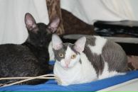 Фотография Калмыковой Ольги