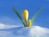 Фотография Павелиной Татьяны