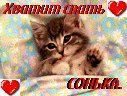 Максім Василець фотография #8 (источник - https://vk.com/id132318424)