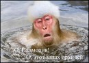 Фотография Соловьевой Ирины