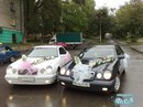 Міша Долинний фотография #19 (источник - https://vk.com/id142557588)