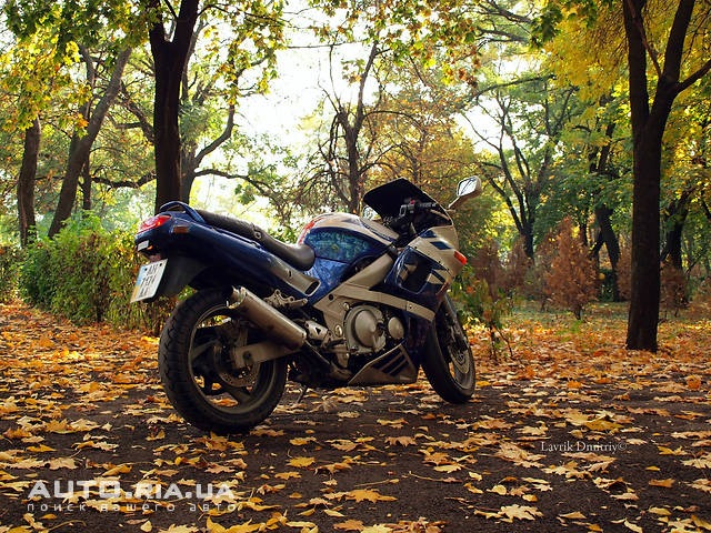 Дмитрий Тур фотография #4