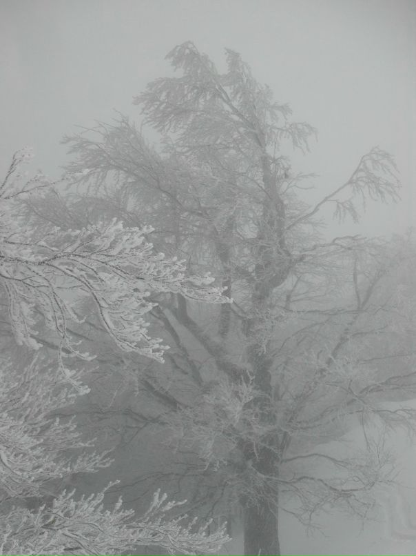 Дмитрий Журба фотография #32