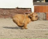 Фотография Аксенова Дениса