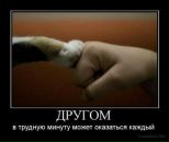 Сергій Яценко фотография #24 (источник - https://vk.com/id104357387)