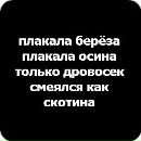 Марієтта Северюхіна фотография #44 (источник - https://vk.com/id149093378)